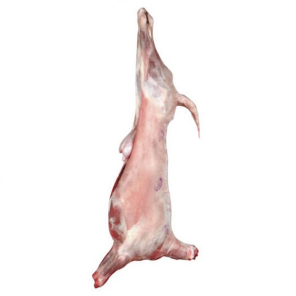 Kuzu Kargas ( 18 - 22 Kilogram Arası ) Kuzu Kargas ( 18 - 22 Kilogram Arası )