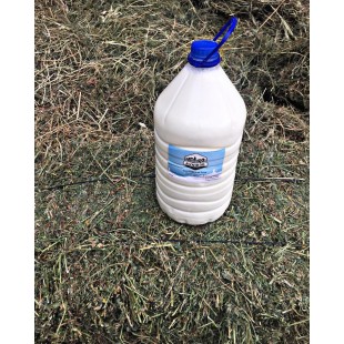 Tam Yağlı İnek Sütü