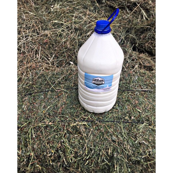 Tam Yağlı İnek Sütü Tam Yağlı İnek Sütü